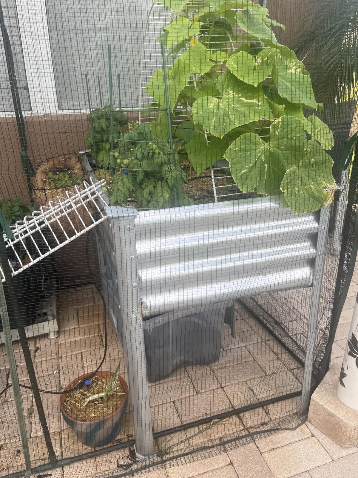Land Guard Galvanized Raised Garden Bed with Legs, 48×24×32in Large Metal Elevated Raised Planter Box with Drainage Holes for Backyard, Patio, Balcony, 700lb Capacity customer photo 2
