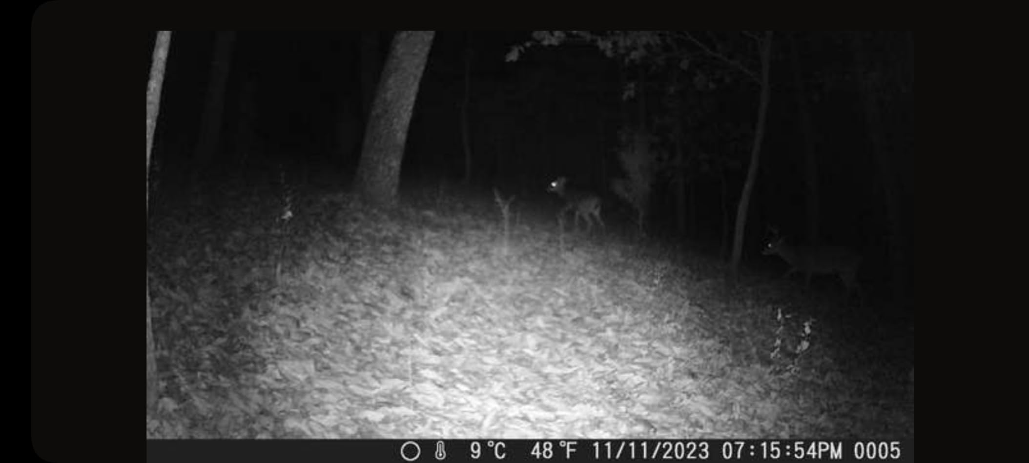 Punvoe Trail Camera 2 Pack 36 MP 2.7K Game Camera 32GB Memory Card 4 Batteries Time 2.0