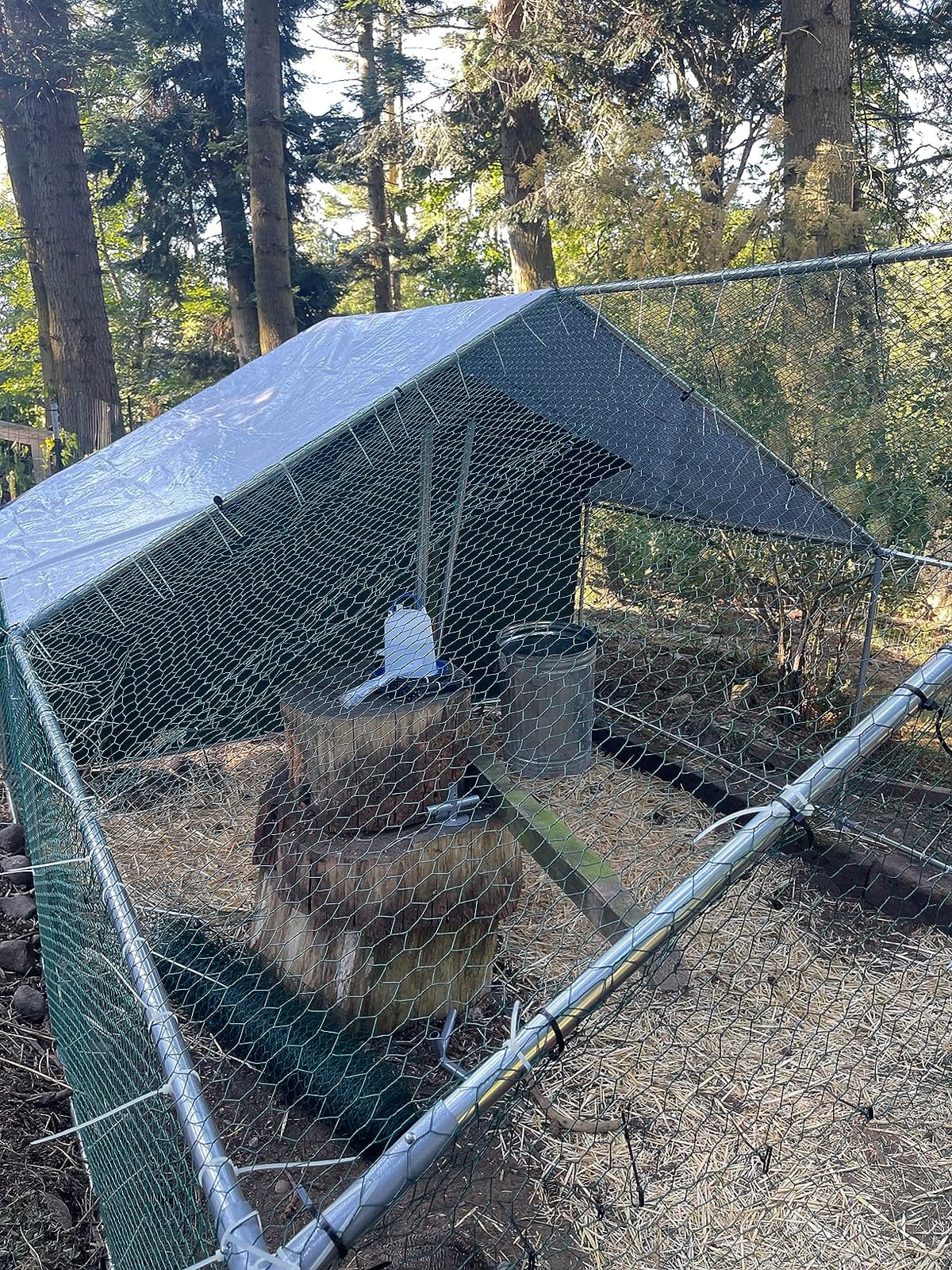 NUGRIART Large Metal Chicken Coop Walk-in Poultry Cage Hen Duck Run House with Waterproof & Anti-UV Cover Galvanized Rabbits Habitat Spire Shaped Cage for Outdoor Yard Farm Use customer photo 2