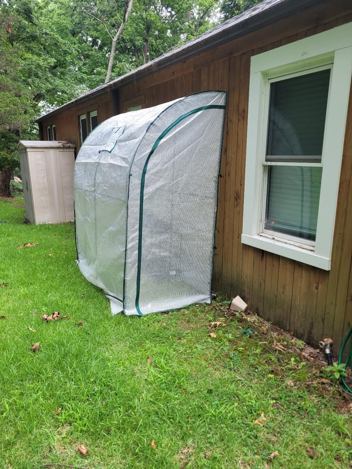 Ohuhu Tomato Greenhouse for Outdoors: Portable Lean to Green House Heavy Duty with Roll-Up Zippered Door, Tall Plastic Greenhouses for Outside Plants Growing Shed Tent for Backyard, 6.6x2.5x5.6 FT customer photo 2