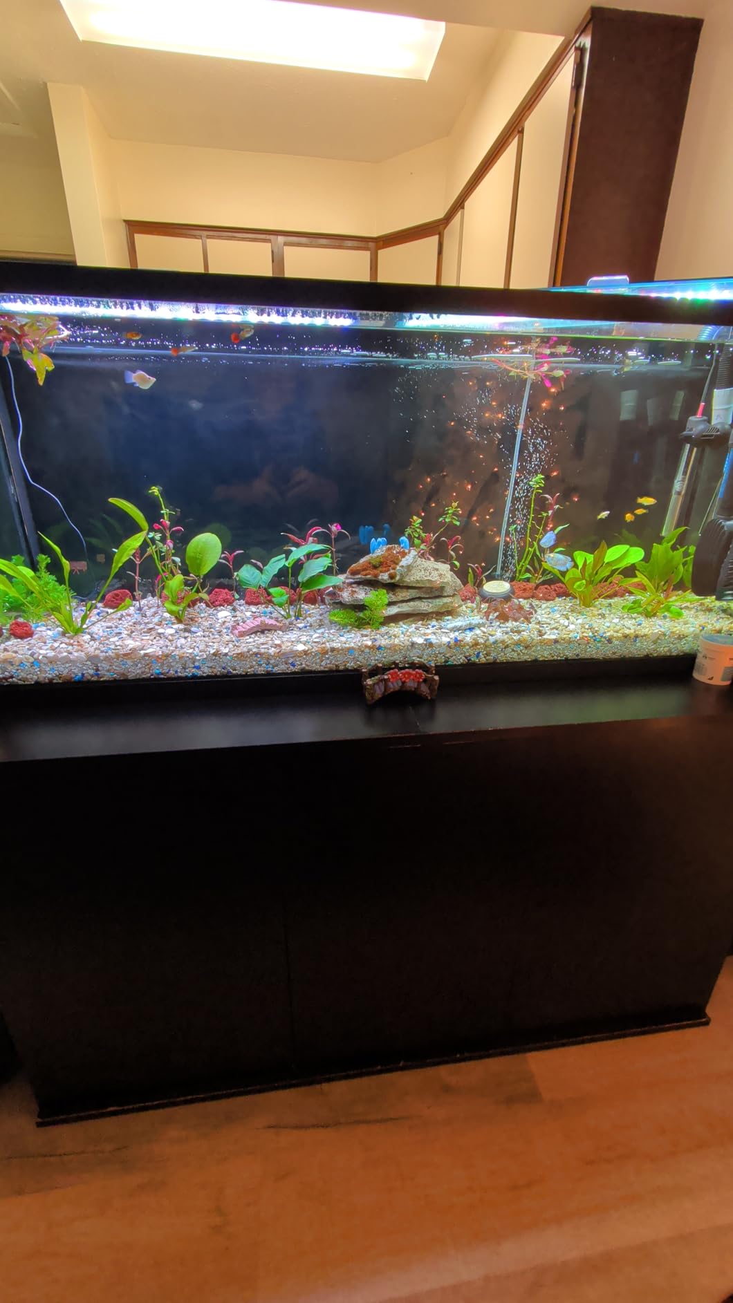 Fluval FX2 High Performance Canister Aquarium Filter customer photo 1