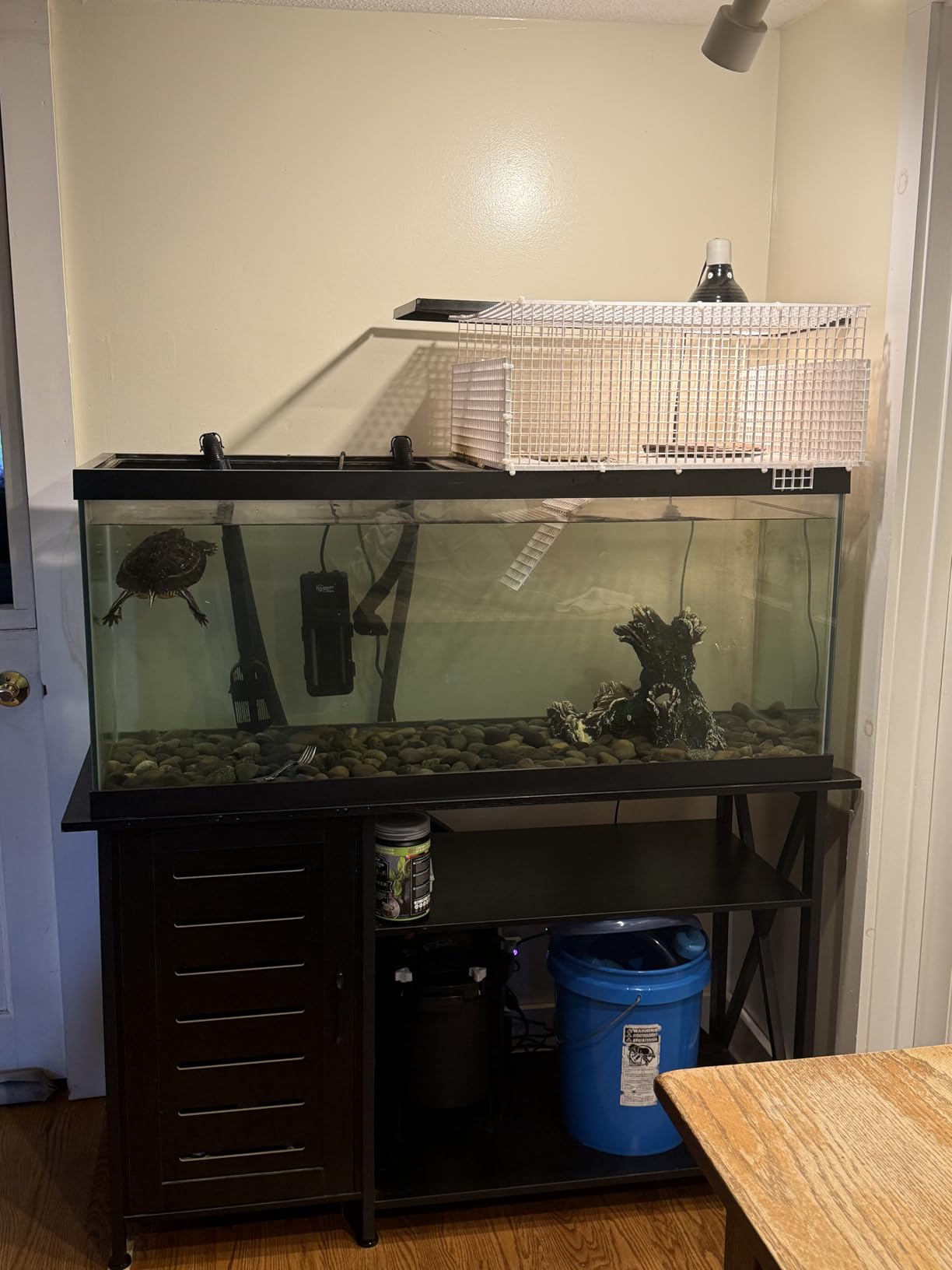 Fluval FX2 High Performance Canister Aquarium Filter customer photo 2