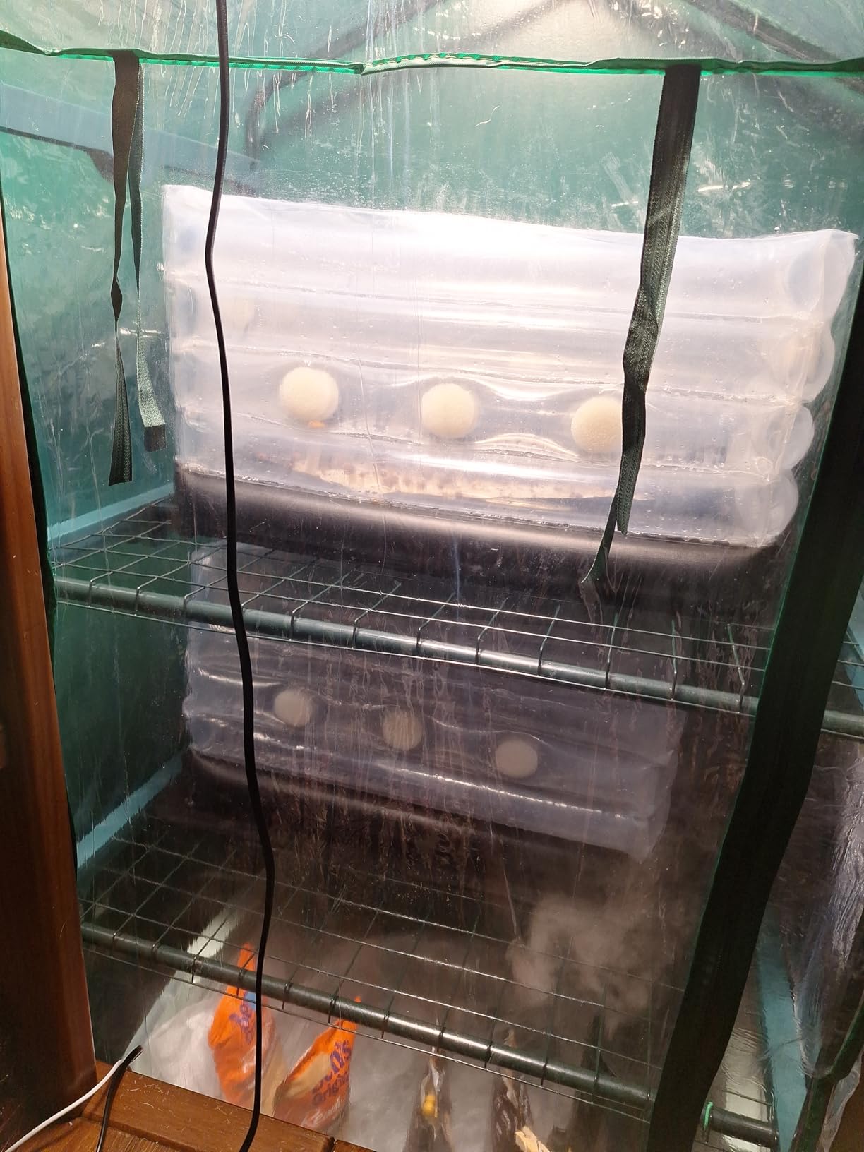 Boomer Shroomer Inflatable Monotub Kit, Mushroom Growing Kit Includes a Drain Port, Plugs & Filters, Removeable Liner [Patent No: US 11,871,706 B2] customer photo 1