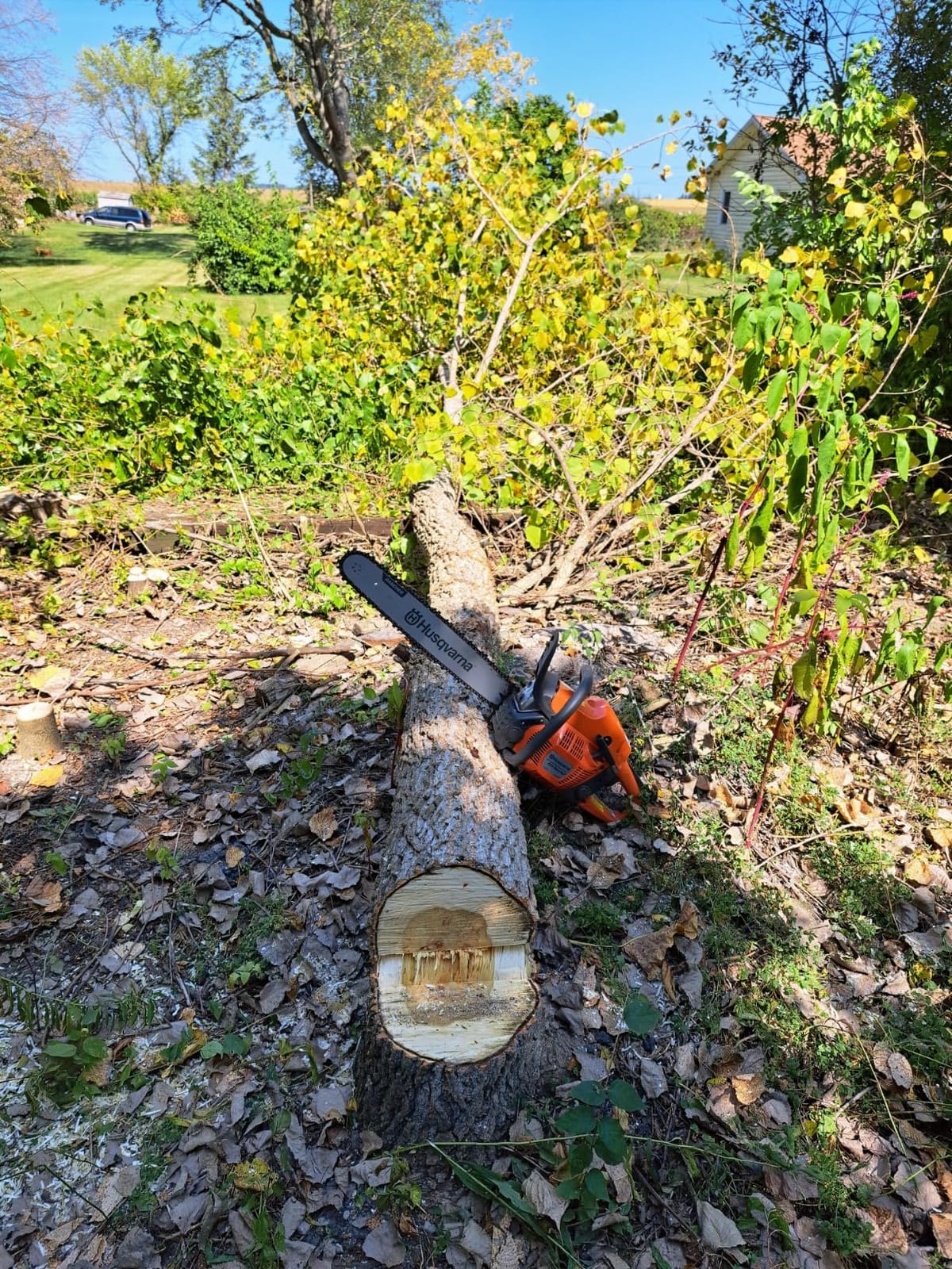 Husqvarna 455 Rancher Gas Chainsaw, 20 inch, 55-cc 3.5-HP customer photo 1