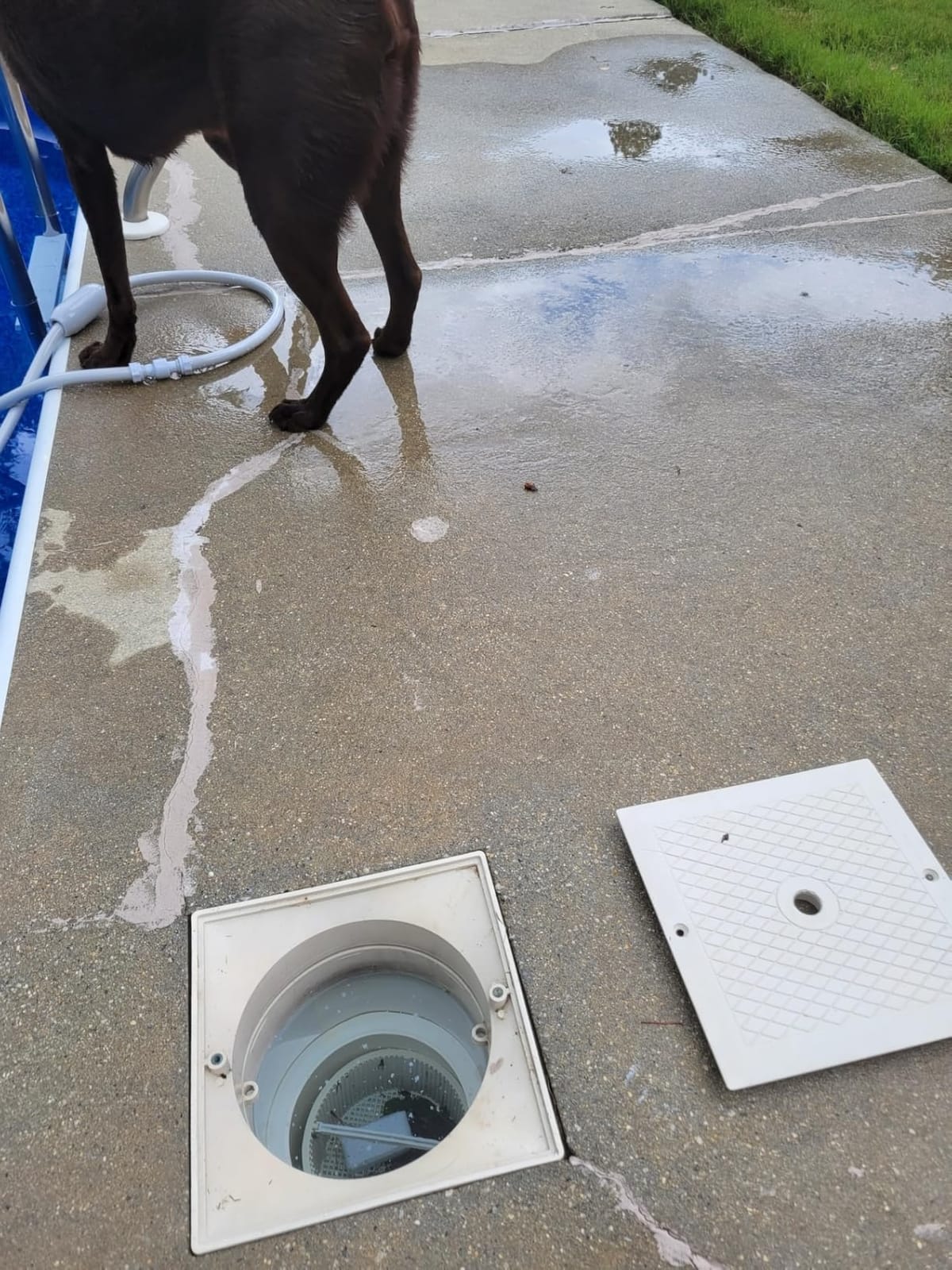 Sepetrel Upgrade Pool Vacuum Head with Side Brush & Universal Rotatable Hose Adapter,Weighted Triangular Shape(Safe for Vinyl Liner Pool) customer photo 2