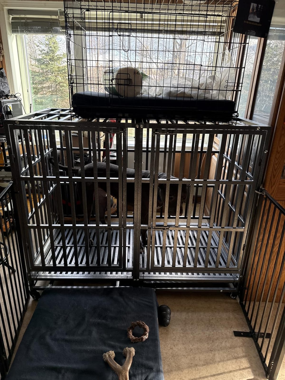 48 Inch Heavy Duty Dog Crate Kennel with Wheels, High Anxiety Indestructible Dog Crates for Large Dogs, XL XXL Extra Large Dog Crate with Removable Plastic Tray, Two Locks (Black, Square) customer photo 2