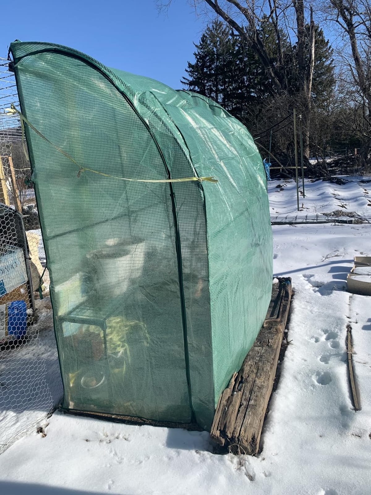 SAFSTAR 7 x 3.5 x 7 ft Greenhouse, Mini Lean-to Walk-in Green House with 3 Tiers Flower Rack & Weatherproof PE Cover, Roll-up Zipper Doors, Indoor Outdoor Garden Greenhouse for Seedling & Pot customer photo 2