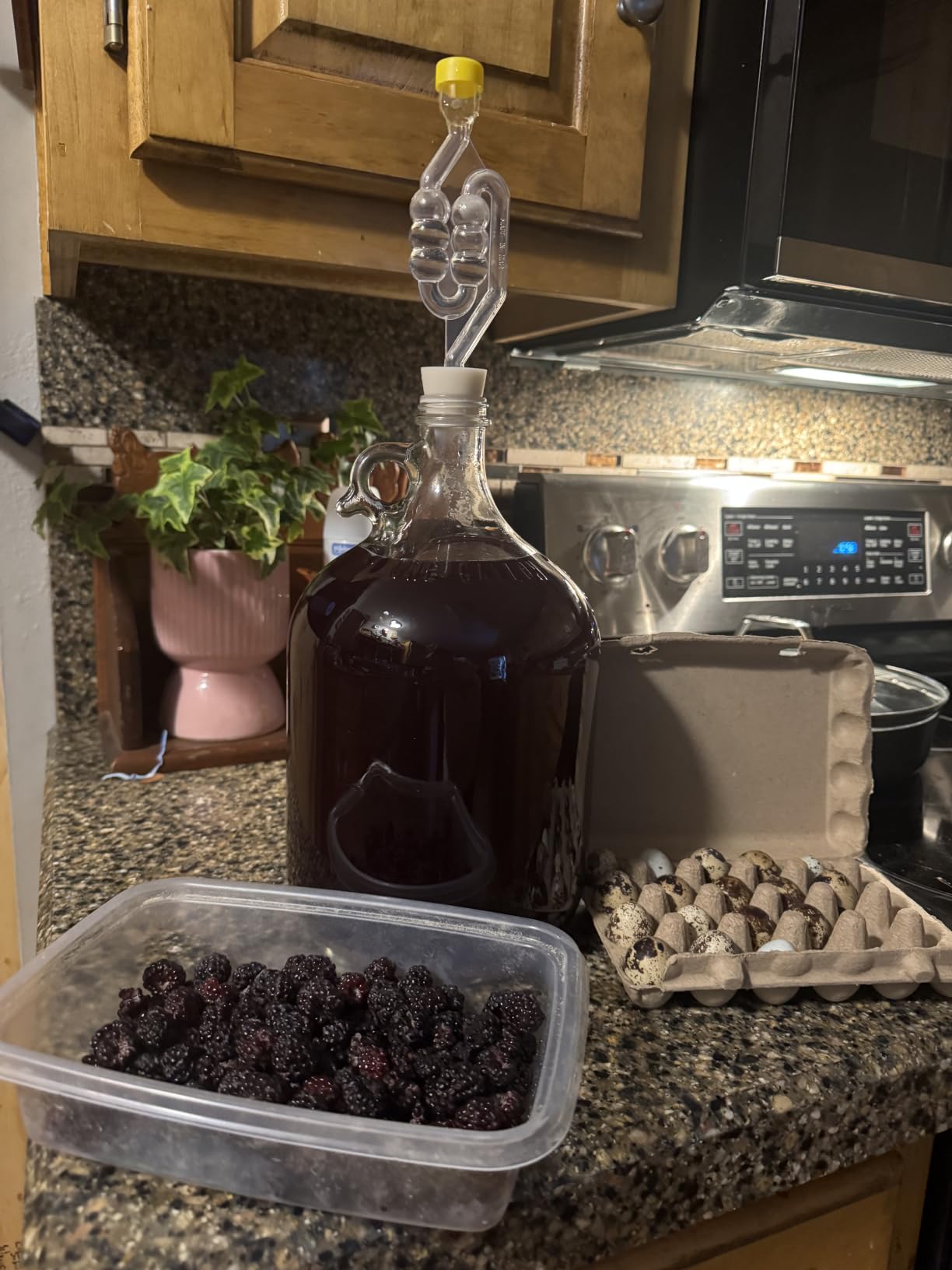North Mountain Supply Fermenting Jug Starter Kit, 1 Gallon customer photo 1