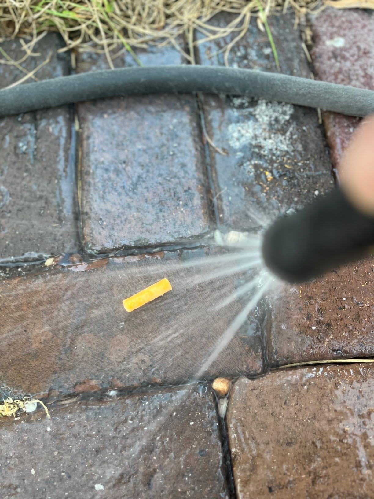 Dextreme Fire Plugs Waterproof Fire Starter for Campfires, Emergencies, Survival, Fire Pits, Grills | 5+ Minute Burn | All Natural | Made in North America customer photo 1