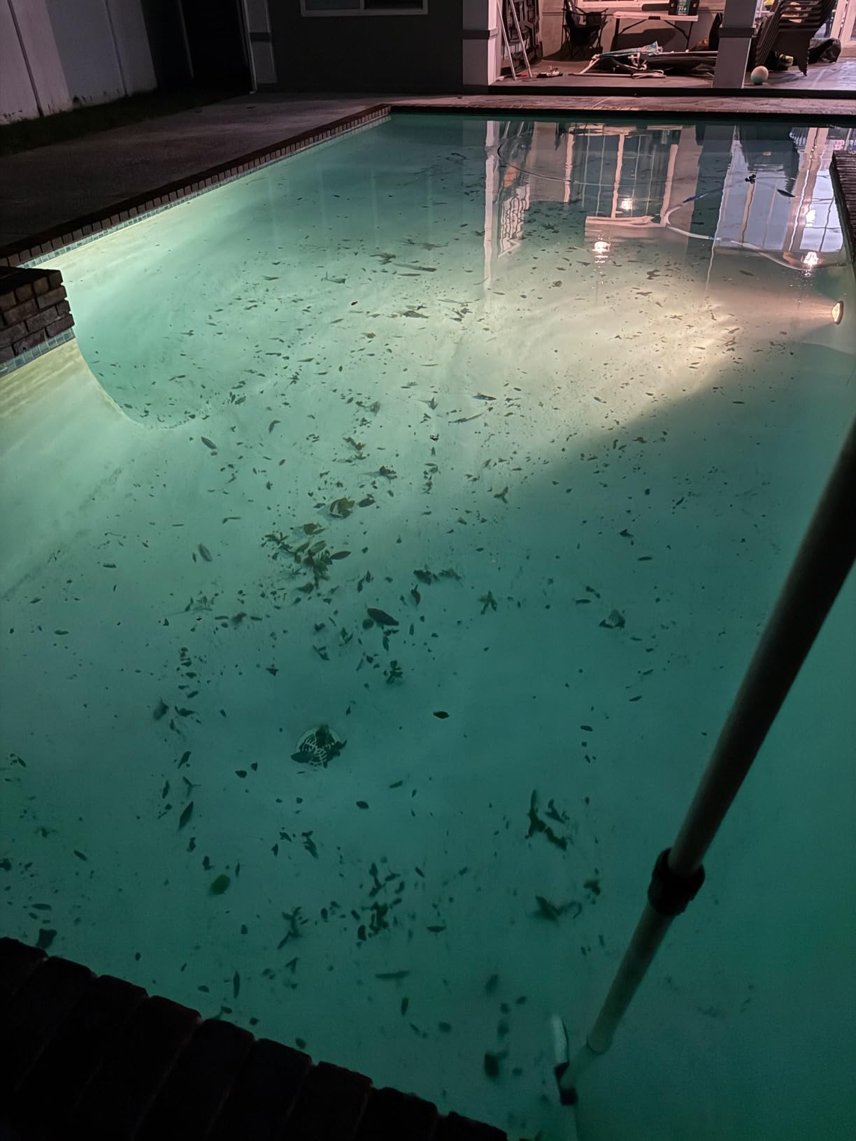 KOKIDO Rechargeable Heavy Duty Pool Leaf Vacuum Cleaner, Commercial Power Suction for Pool Opening, Standard and Fine Filter Bags, for Larger Leaves and Debris, Inground and Above Ground Pools XV910 customer photo 1