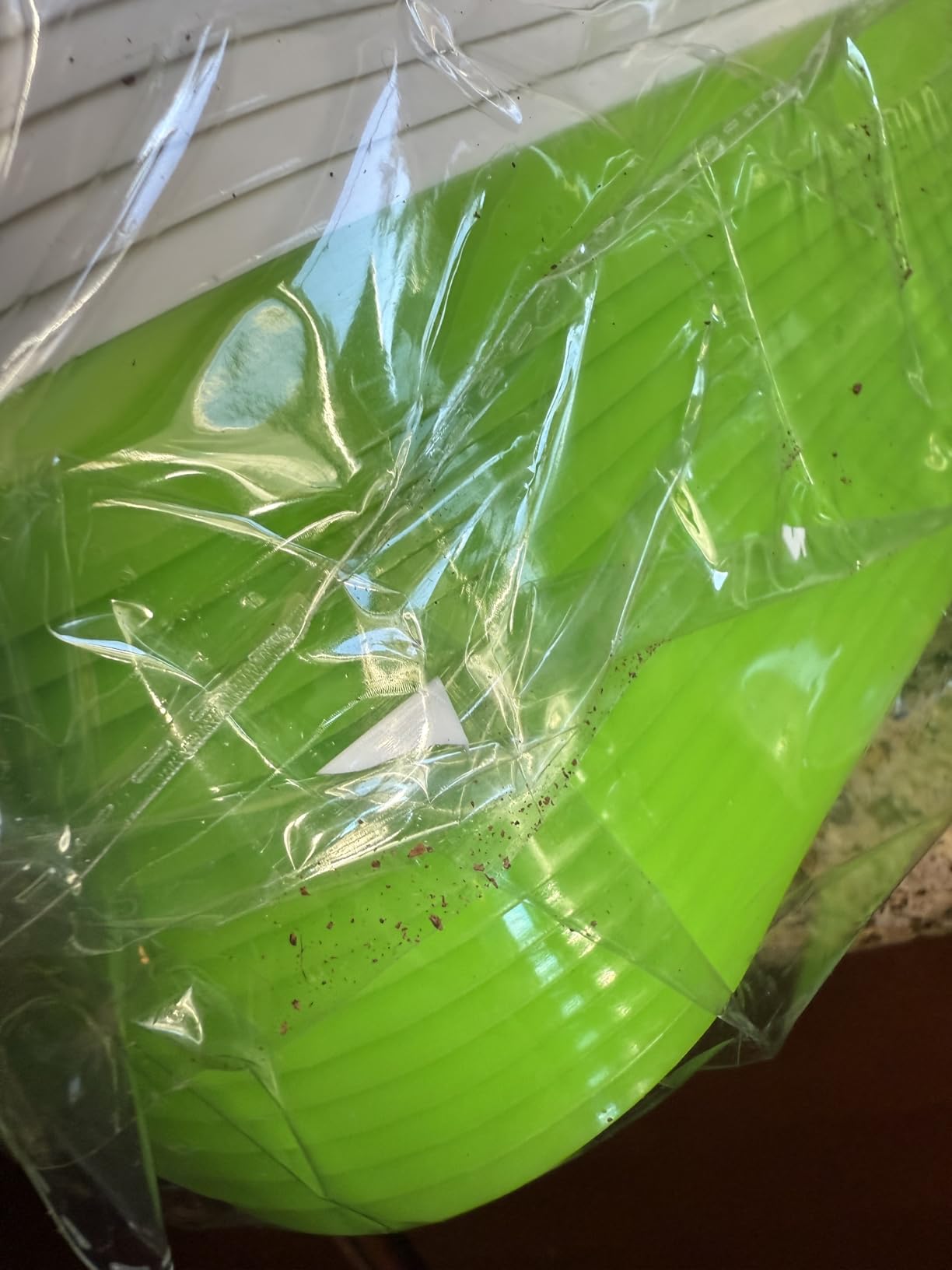 Legigo 16 Pack Seed Sprouter Trays, Microgreens Growing Trays Kit customer photo 1