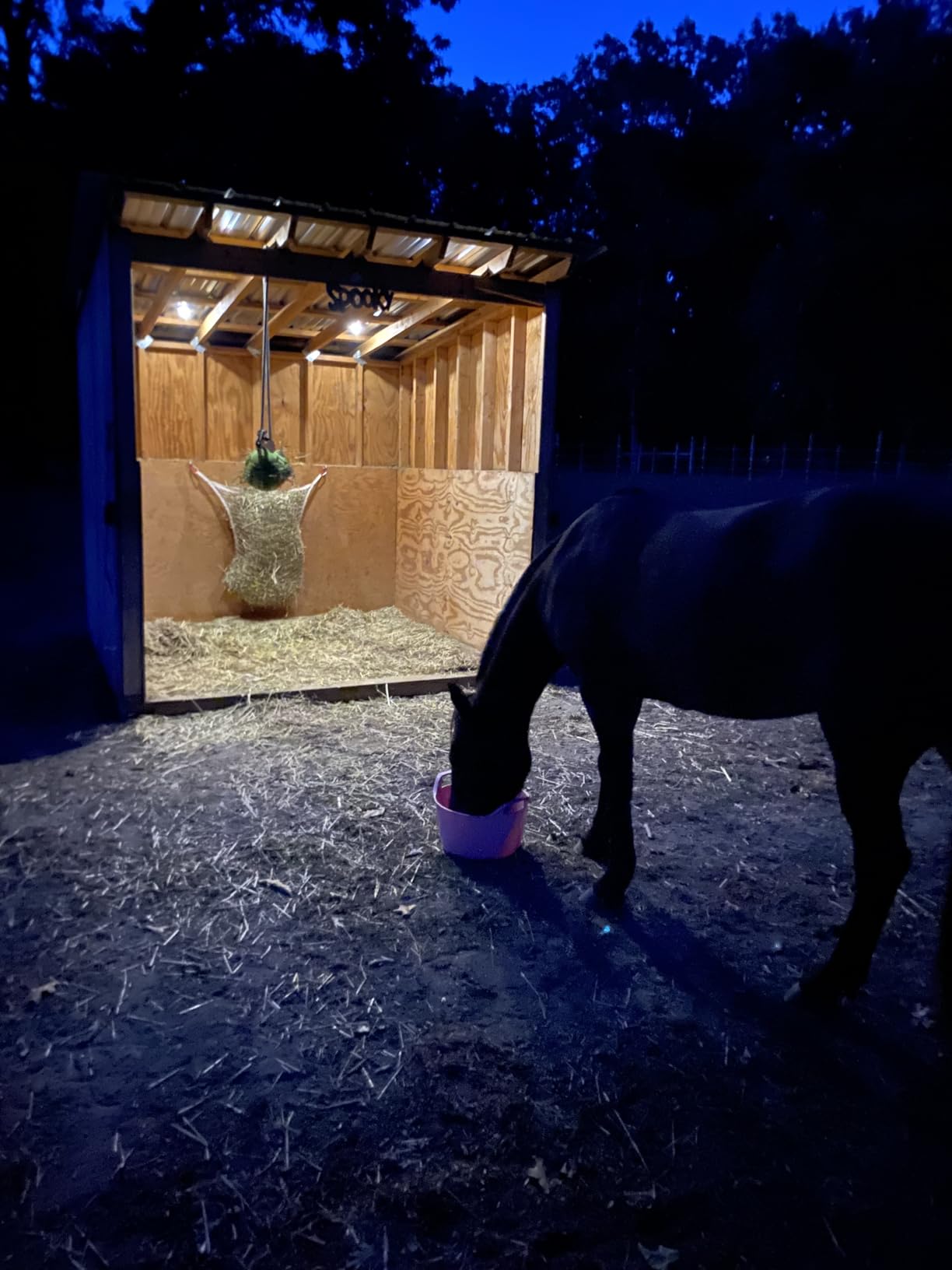 Fabbay 2 Pcs Slow Feed Hay Net for Horses, 35 x 31 Inch Hay Bag, Black customer photo 1