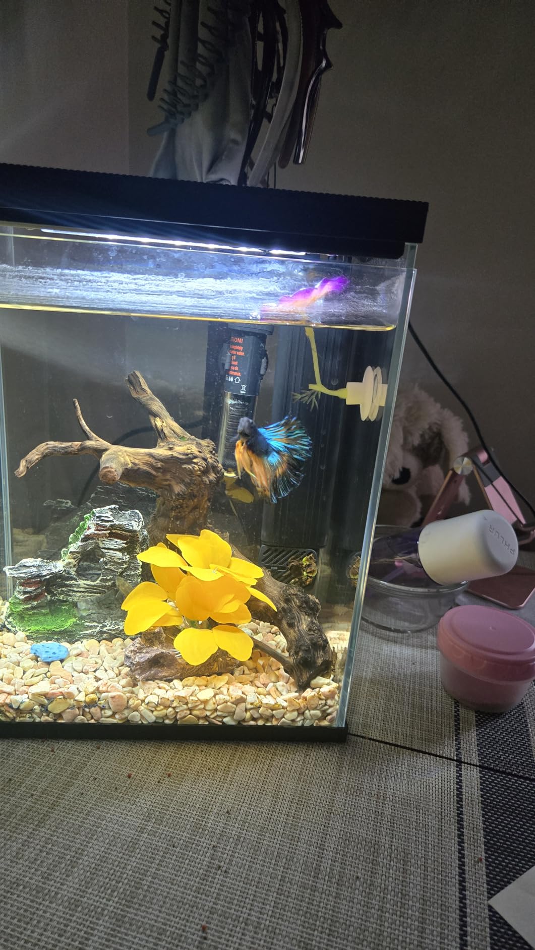 Pronetcus Betta Fish Tank, 2 Gallon Glass Aquarium Starter Kit, Small Fish Tank with Filter and Light.(White) customer photo 1