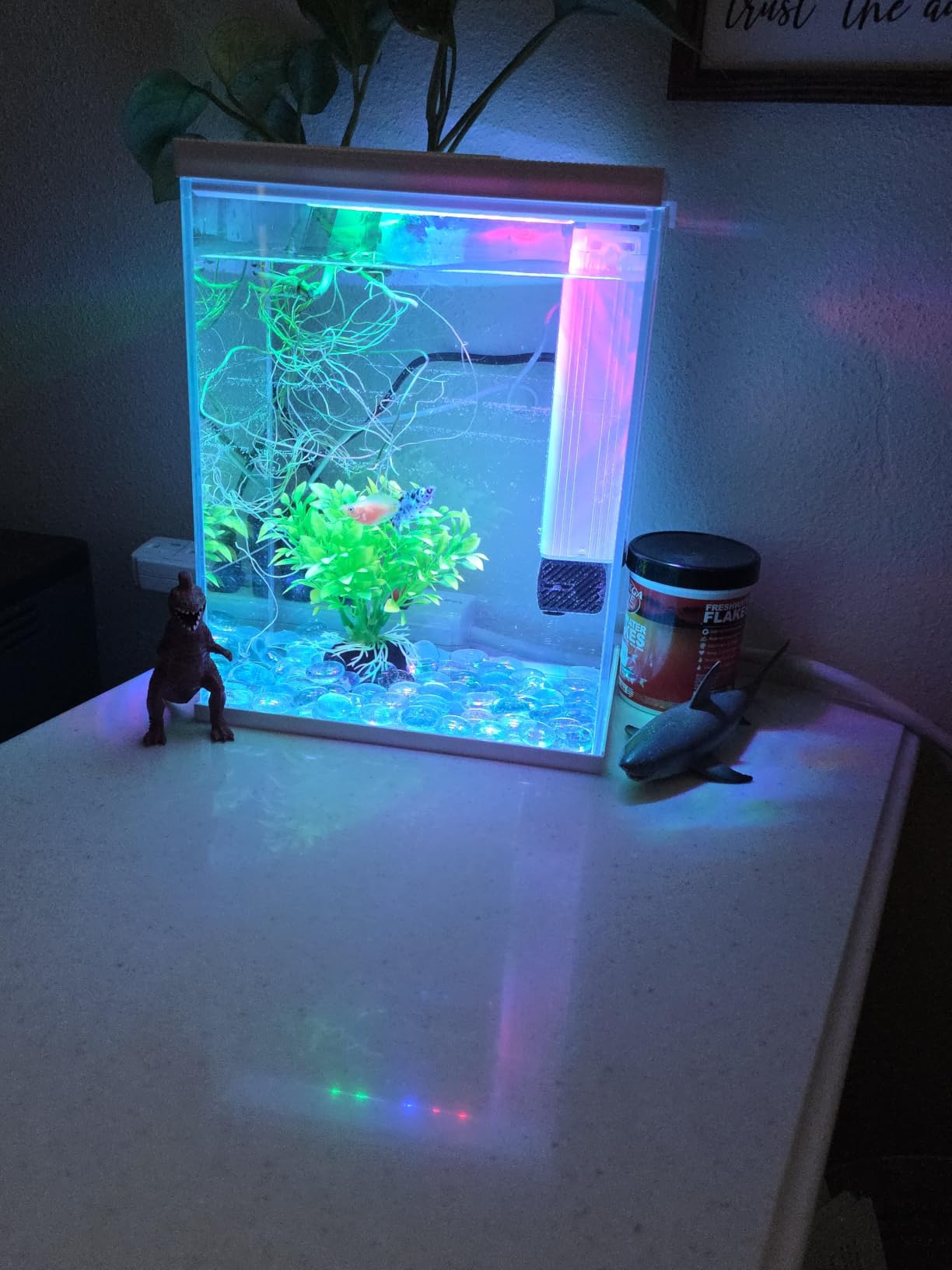 Pronetcus Betta Fish Tank, 2 Gallon Glass Aquarium Starter Kit, Small Fish Tank with Filter and Light.(White) customer photo 2