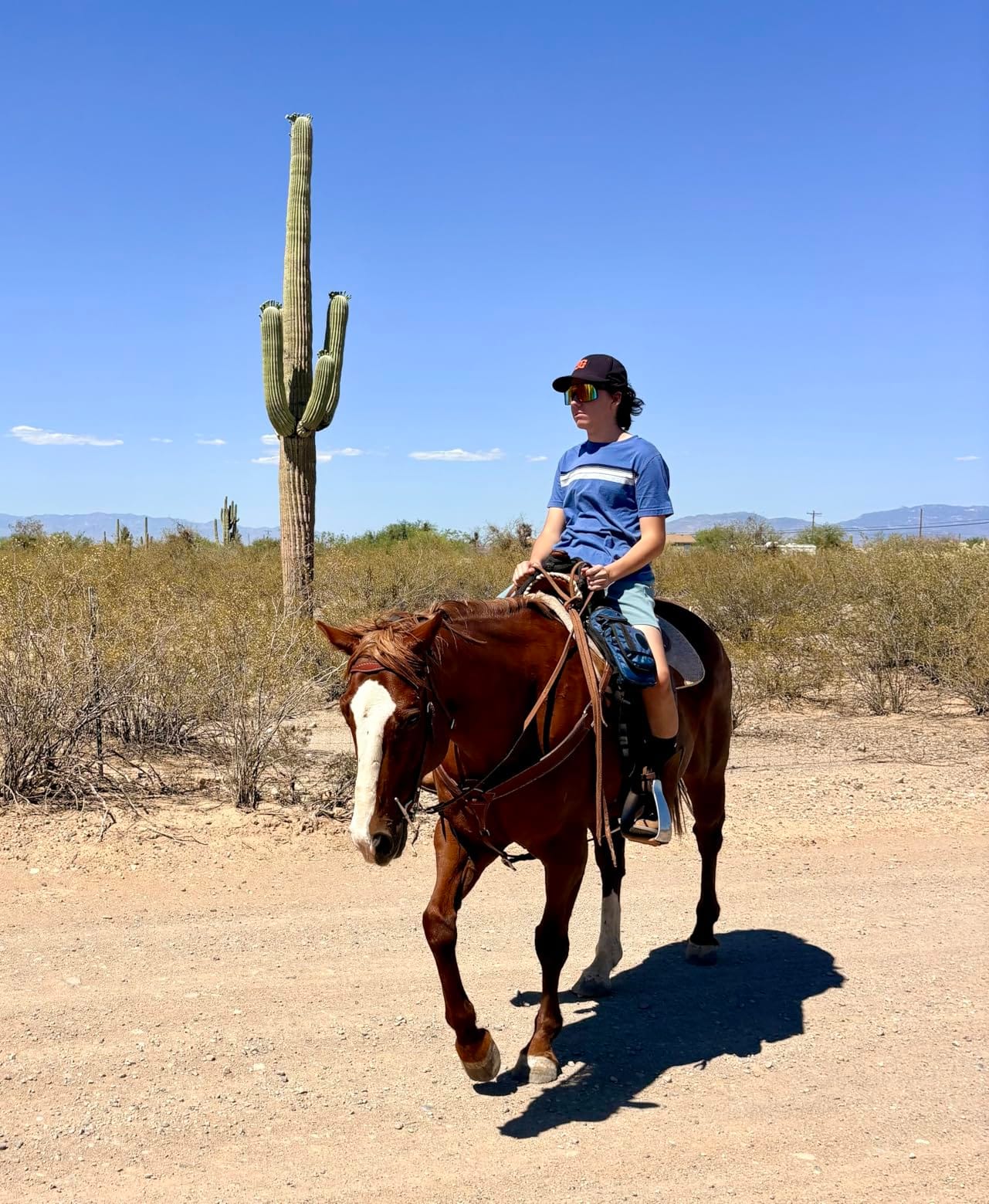 Harrison Howard Trail Seat Saver, Ride-on Western Saddle Pad customer photo 2