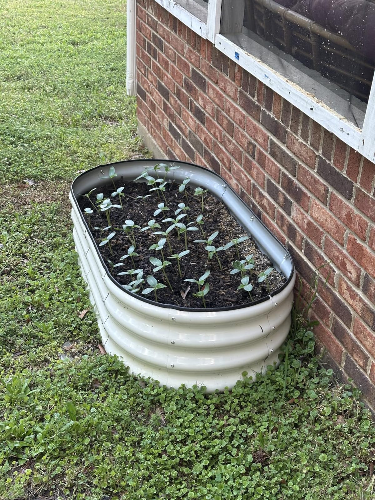 SnugNiture Raised Garden Bed Outdoor 4x2x1ft, 2 Pack customer photo 2