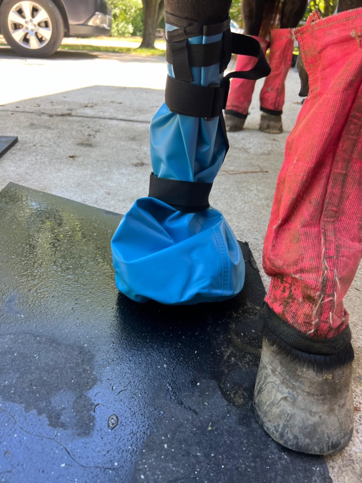 Horse Soaking Boots, Ice Boots for Horses Promote Healing customer photo 2