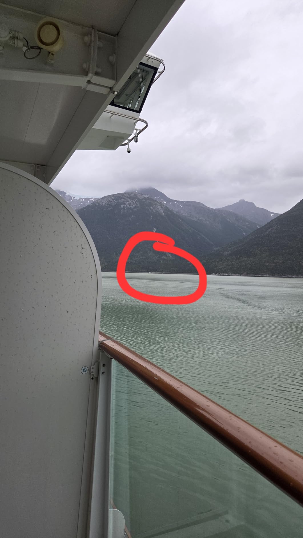 12X25 Mini Pocket Binoculars for Adults Kids, Small Compact Binoculars for Bird Watching, Opera Concert customer photo 1