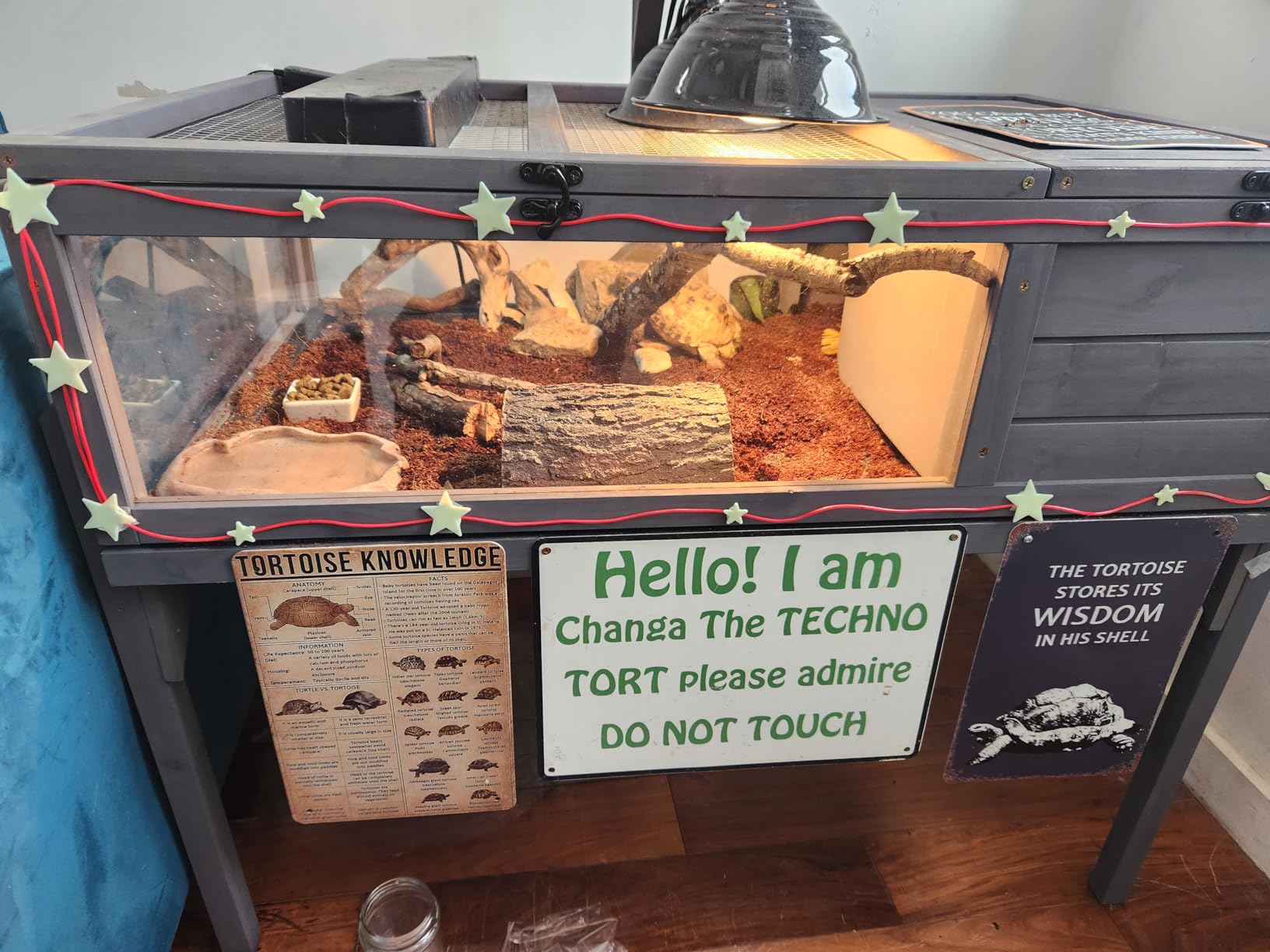 GEGURI Tortoise Habitat Indoor & Outdoor, Wooden Tortoise House with Detachable Legs, Reptile Cage for Small Animals customer photo 2