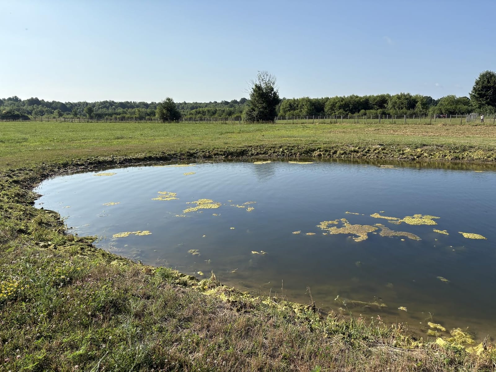 Floating Lake Rake, 36