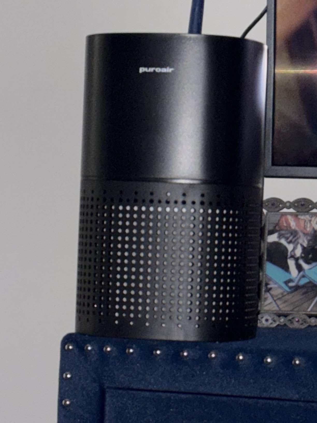 PuroAir 400 HEPA Air Purifiers for Home Large Room Pets Filter 2,000 Ft² customer photo 2