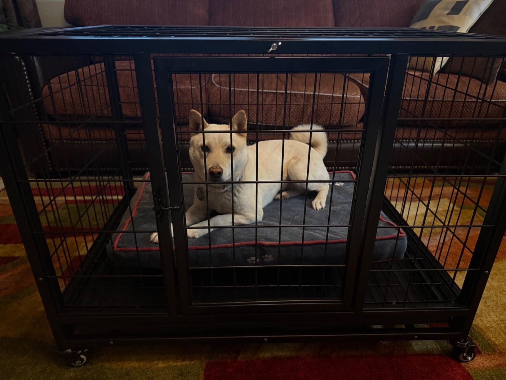 Dog Kennel Outdoor Chain Link Dog Run Playpen Galvanized Heavy Duty Outdoor Dog Kennel Fence Puppy Exercise Pen Dog Run Cage with UV & Waterproof Cover Secure Lock 10x10x6ft customer photo 2