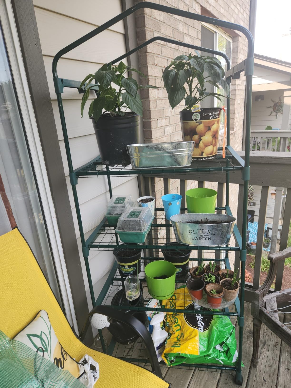 VIVOSUN 39x39x63-Inch Portable Walk-in Greenhouse, with PVC Cover & Detachable Base, Instant Pop-up and Folding, Mini Greenhouse with Roll-Up Door & Mesh Window for Indoor Outdoor, Wind Ropes Included customer photo 1