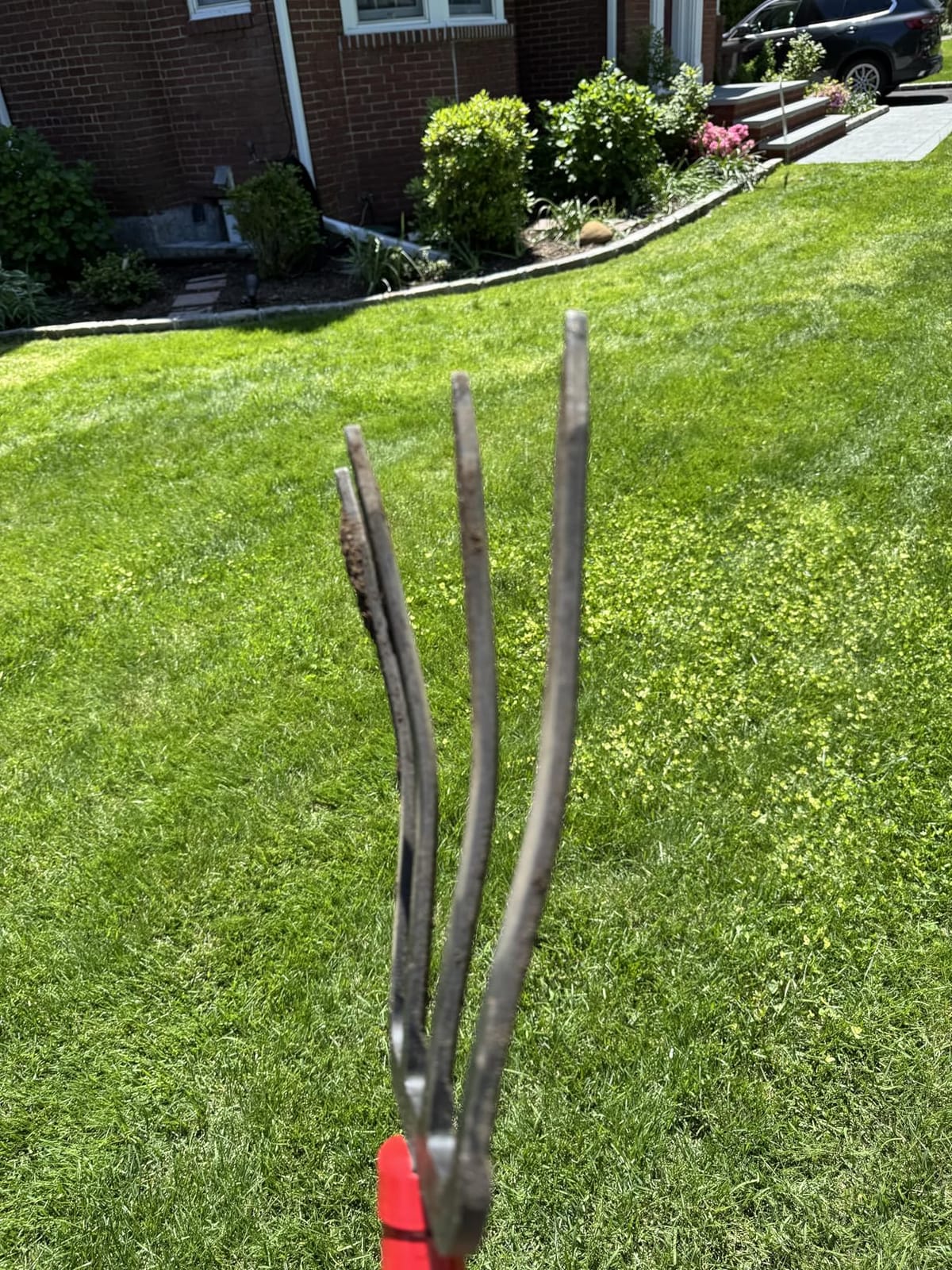 Heavy Duty Garden Fork for Digging, 4 Tines Pitch Fork for Gardening Compost, Garden Pitch Fork with Wooden Handle, 45 Inches customer photo 1