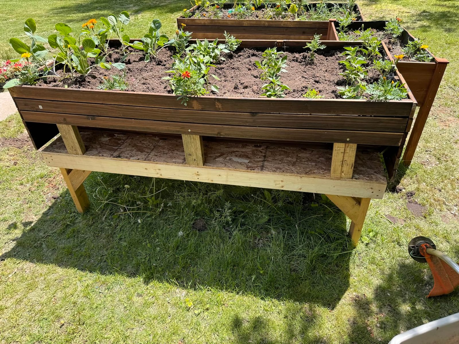 VEIKOU 6x3x2FT Raised Garden Bed, Outdoor Oversize Planter Box with Liner, Cedar Garden Bed with Legs for Vegetables Flower Herb, 837lbs Capacity, Rustic Brown customer photo 1