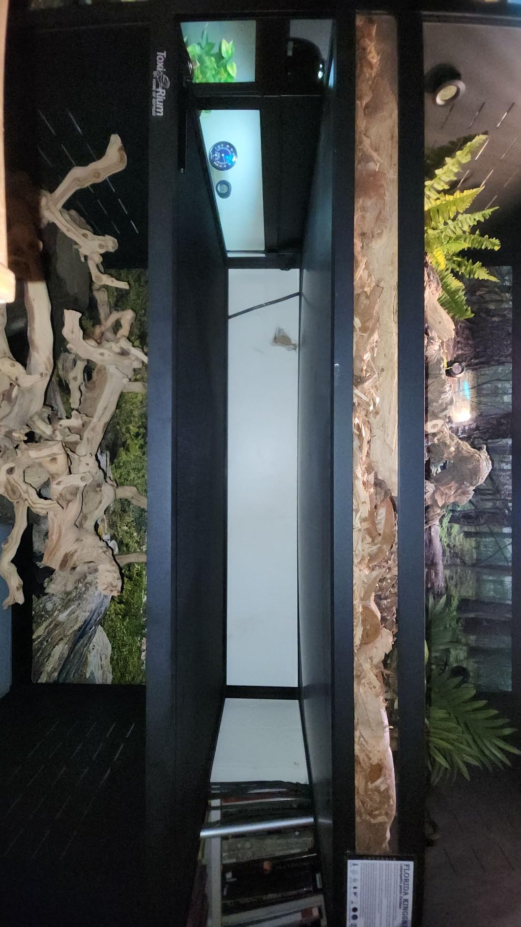 PVC Reptile Enclosure Space Efficient 44''x20''x20'' Stackable ToxiRium Large Reptile Terrarium 76 Gallons for Bearded Dragon Lizard Snake, Breeding Vivarium with Sliding Doors Lock-2pcs with spacers customer photo 1