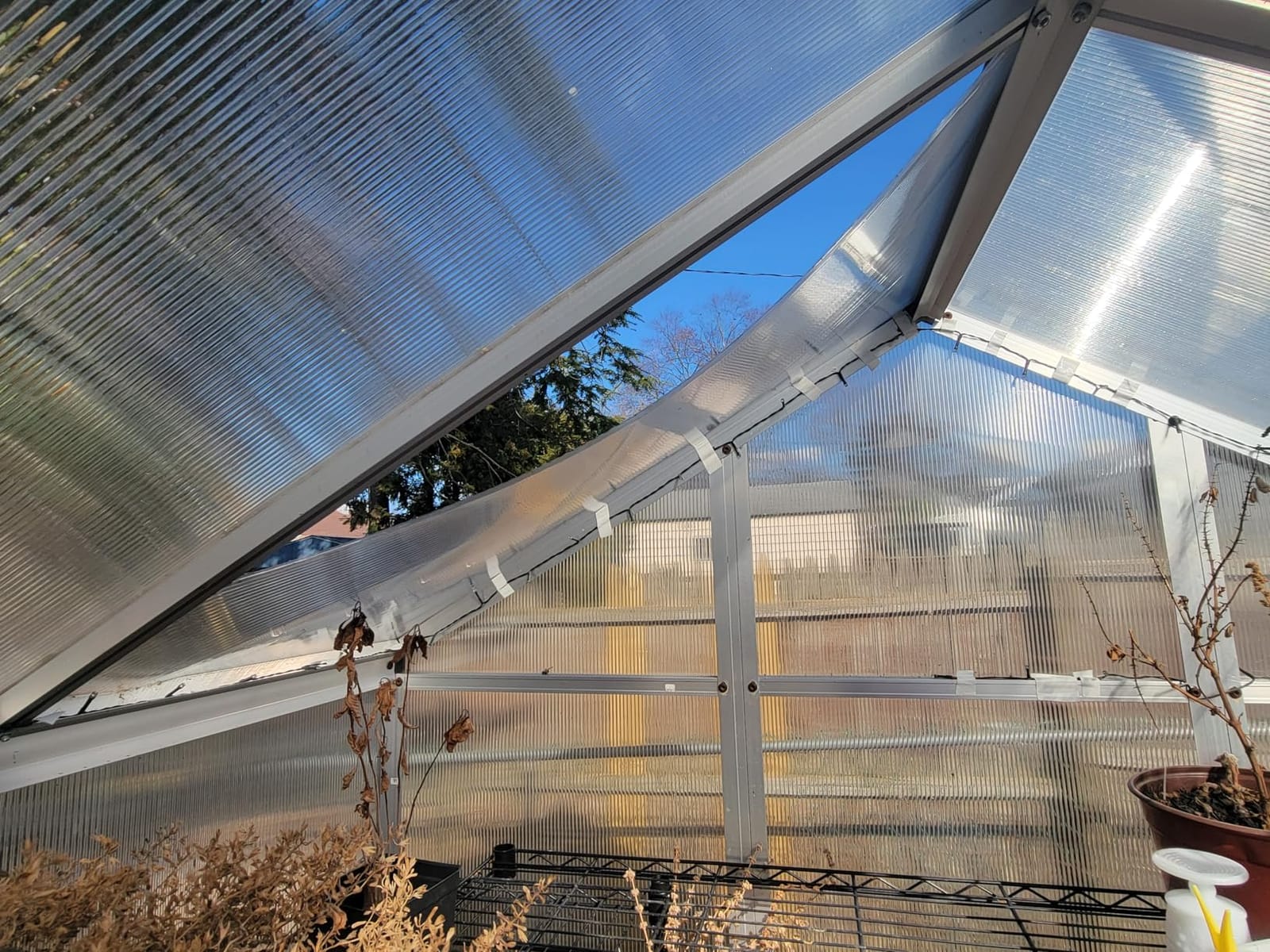 Outsunny 8' x 6' Greenhouse for Outdoors, Polycarbonate Greenhouse with Rain Gutter and Roof Vent, Aluminum Walk-in Green Houses for Outside Patio Backyard Garden customer photo 2
