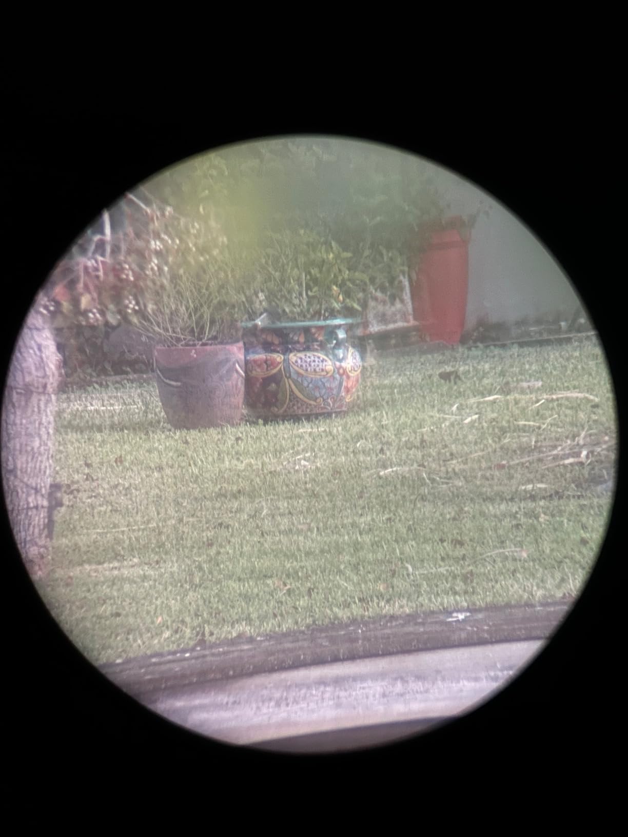 WOZEL 25-75x80 Spotting Scope with Tripod for Target Shooting High Powered customer photo 1