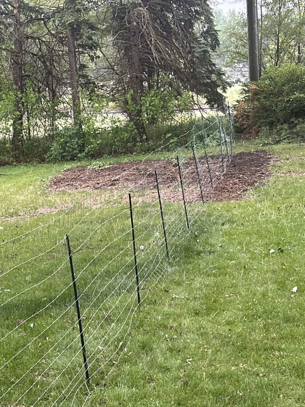Cattle Fence 5ft x 164ft, Galvanized Farm Fence & Metal Wire Fencing customer photo 1