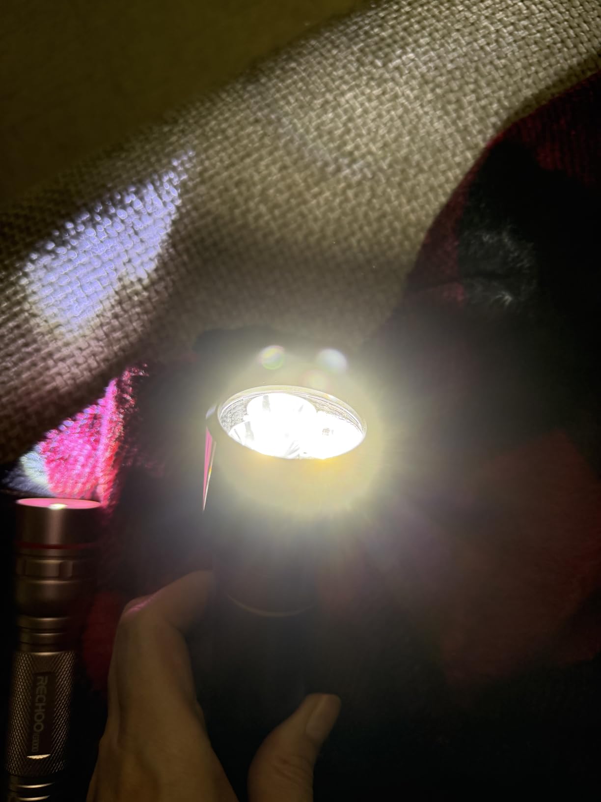 RECHOO Rechargeable Flashlights 1Pk,Bright Zoomable 3 Modes Red Flashlight customer photo 1