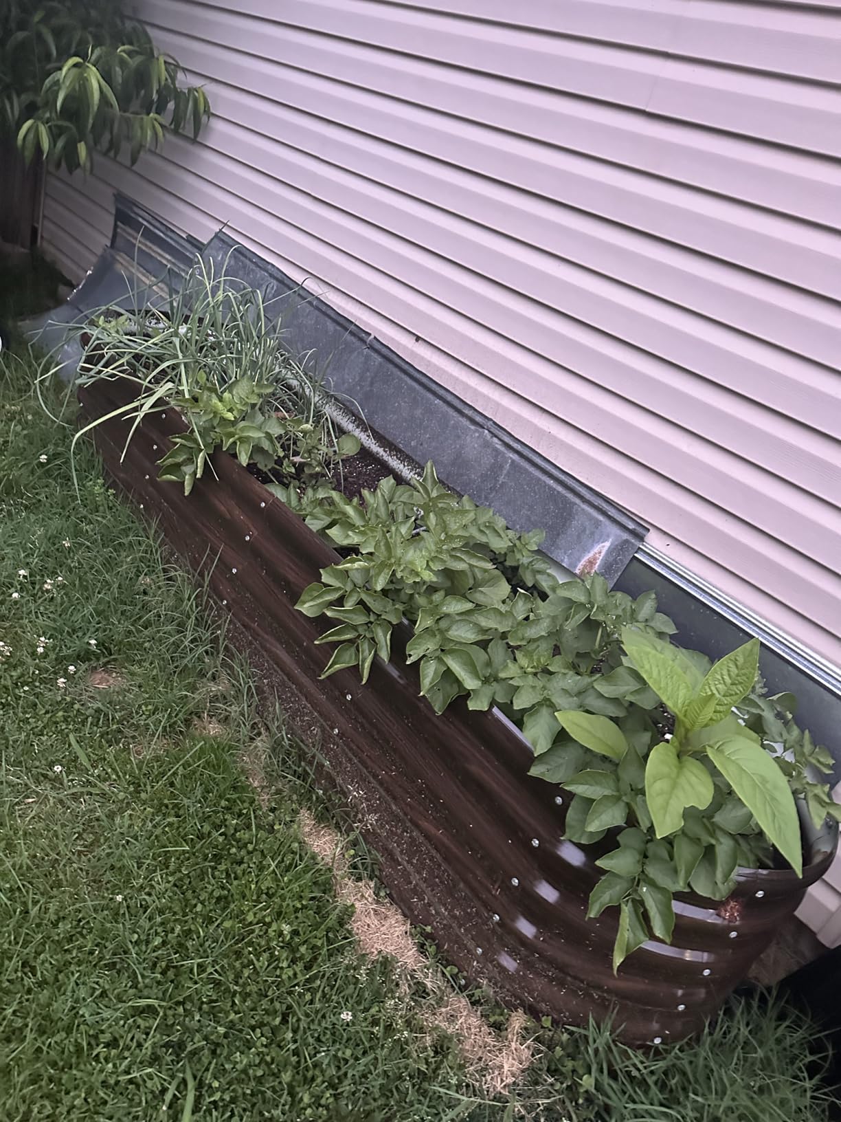 SnugNiture 8x2 ft Oval Raised Garden Bed - 22