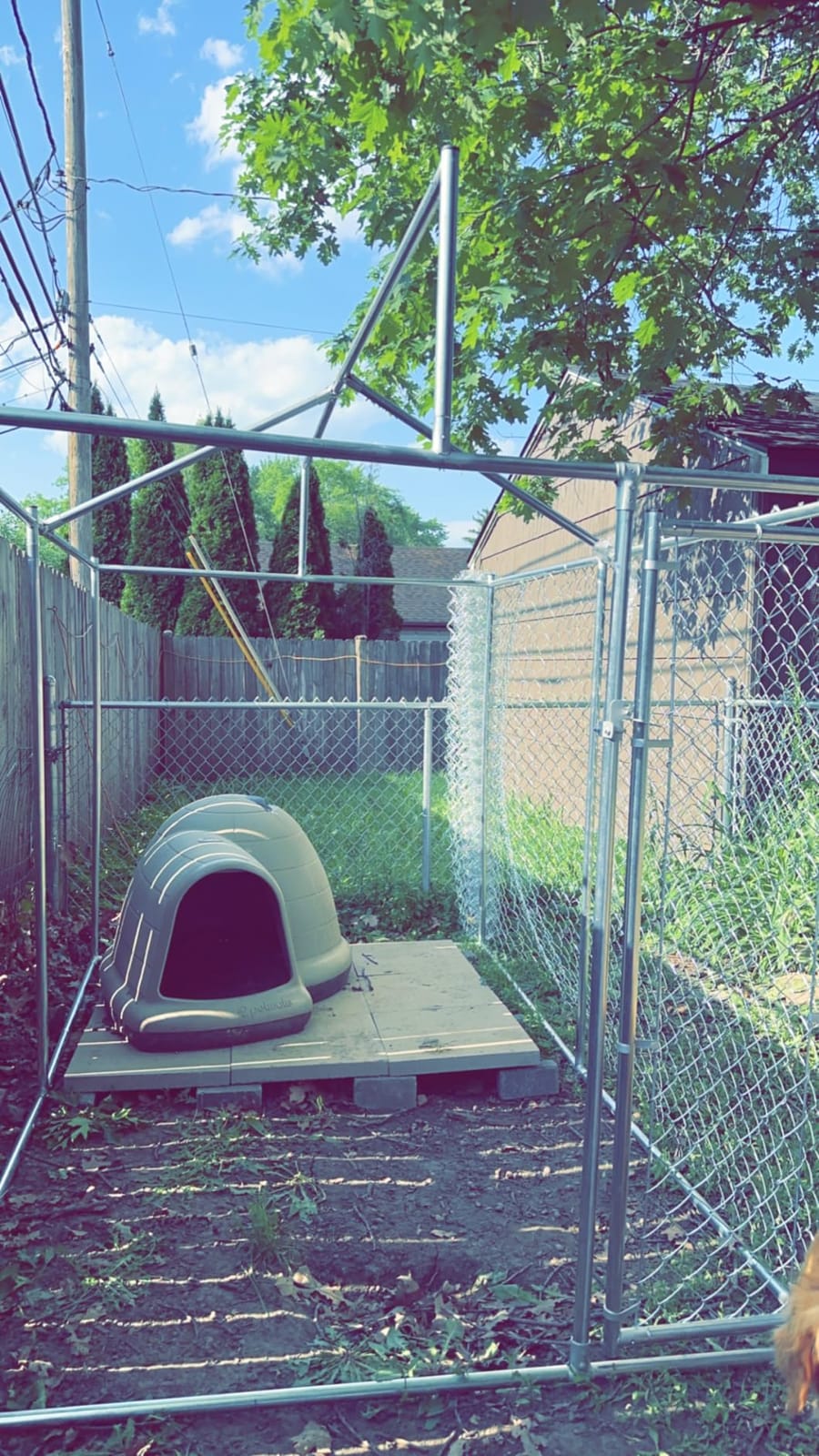 Outdoor Dog Kennel Large with Roof, Dog Run Enclosure, Large Outside Heavy Duty Dog Pens House Pet Playpen with Galvanized Chain Link Waterproof Cover (10'Lx6'Wx7.65'H) customer photo 1