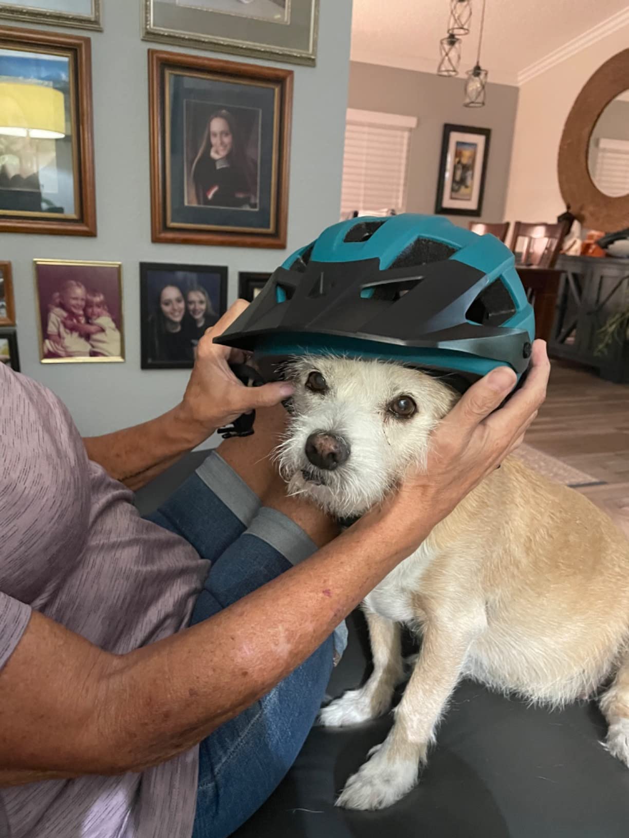 Retrospec Rowan Mountain Bike Helmet with Adjustable ErgoKnob Fit System - 14 Ventilation Ports, Removable Visor & EPS Foam Interior - Lightweight MTB Protection customer photo 2