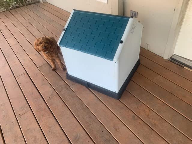 ZENY Plastic Dog House - Waterproof Dog Kennel with Air Vents and Elevated Floor All Weather Indoor Outdoor Insulated Doghouse Puppy Shelter, Easy to Assemble (Red, 28inch) customer photo 1