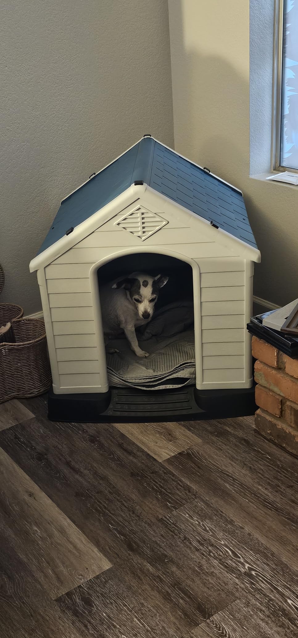 ZENY Plastic Dog House - Waterproof Dog Kennel with Air Vents and Elevated Floor All Weather Indoor Outdoor Insulated Doghouse Puppy Shelter, Easy to Assemble (Red, 28inch) customer photo 2