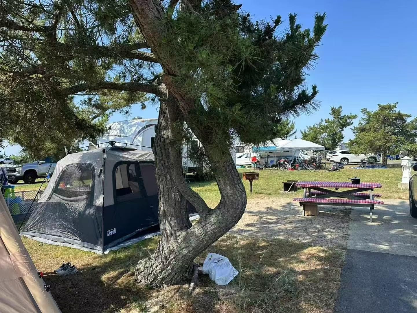 Coleman 4/6/8/10 Person Instant Camping Tent with 1-Minute Setup customer photo 2