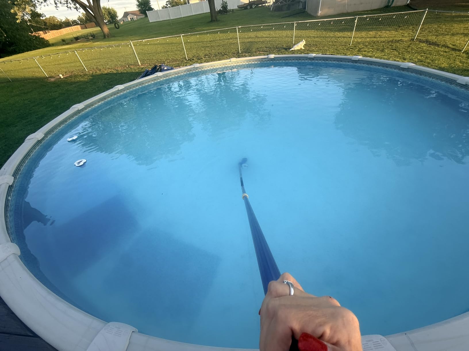 POOL BLASTER Catfish Gen 2 Cordless Rechargeable Spa & Hot Tub Vacuum customer photo 1