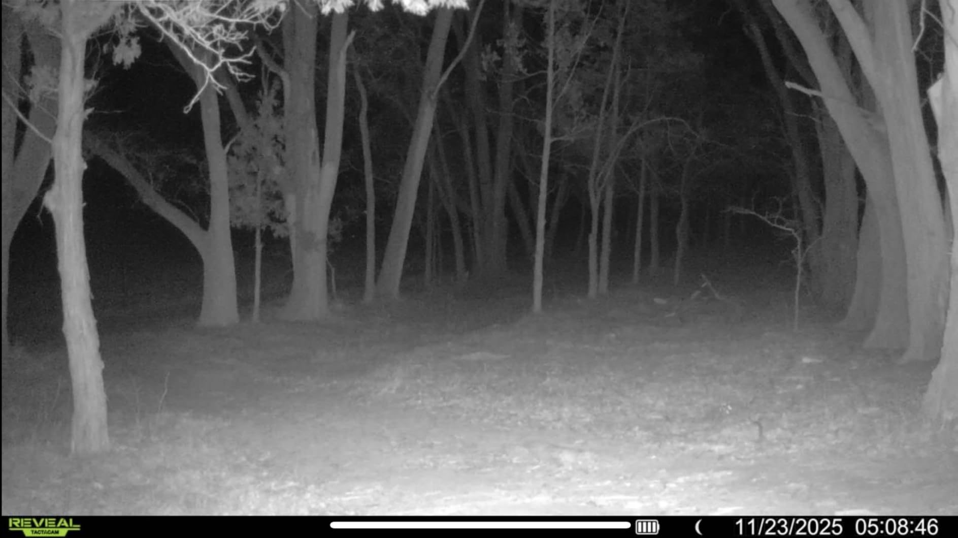 TACTACAM Reveal Pro 3.0 Cellular Trail Camera - Multi-Cellular Network, No-Glow IR, Wi-Fi Enabled, HD Photos & 1080p Videos, Long Battery Life + Solar Panel, Lipo Lithium Battery Pack, & 32GB SD Card customer photo 2