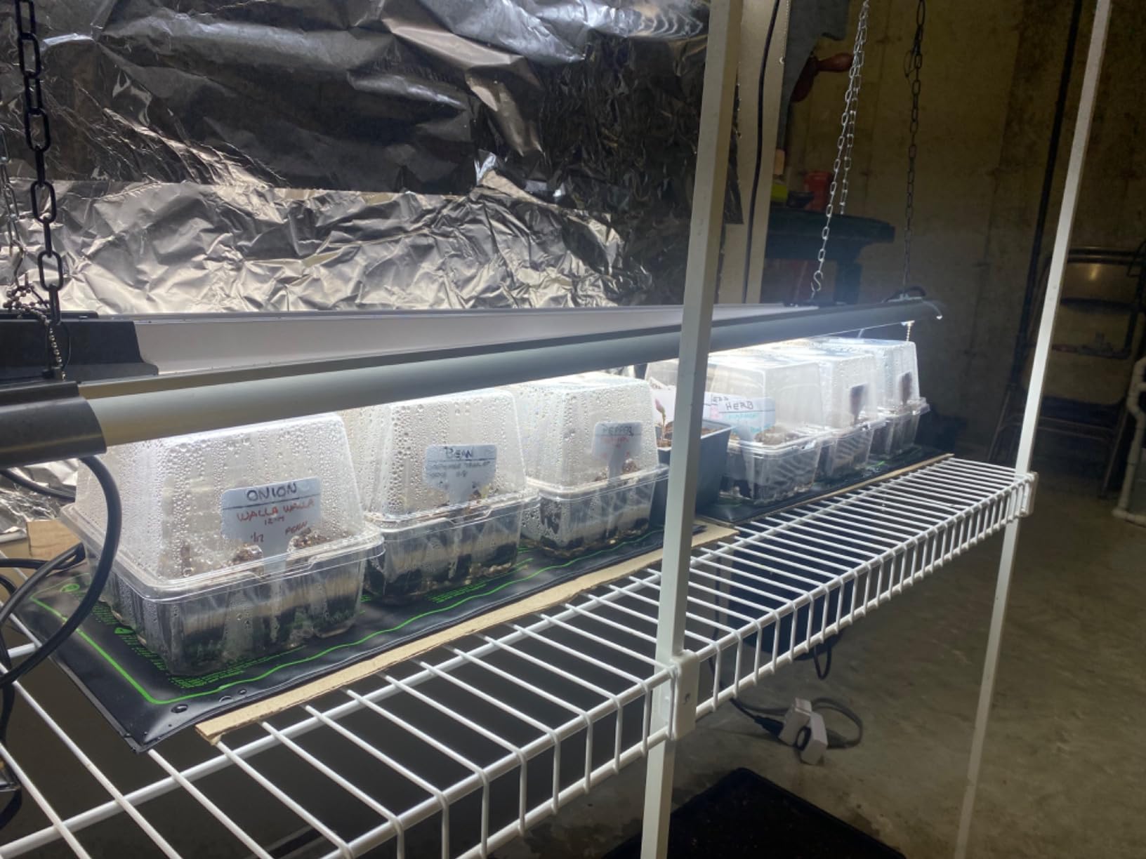 Bonviee 5-Pack Seed Starter Trays, Humidity Dome, Base, 12-Cell Tray, Green customer photo 2