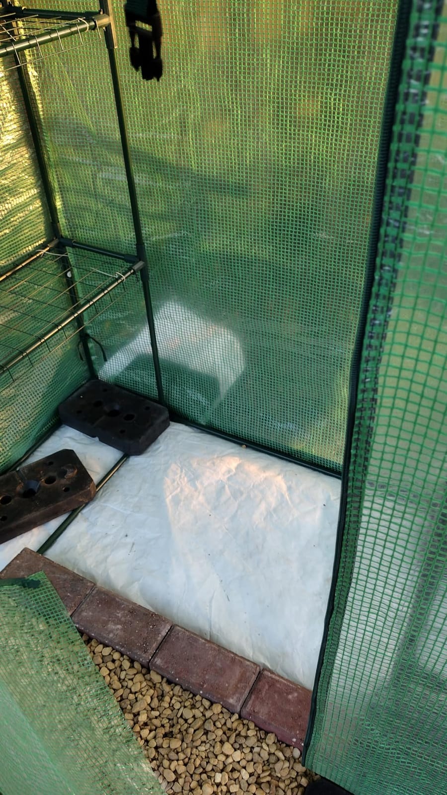 VEVOR Walk-in Tunnel Greenhouse, 9.6x6.4x6.2 ft Hoop House Greenhouse Tunnel, Plant Hot House with Galvanized Steel Frame, Green PE Cover, Roll-up Zipper Door and 6 Windows for Outdoor customer photo 1