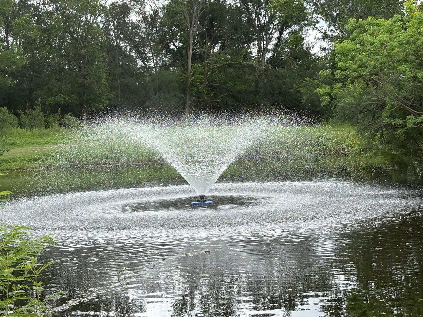 Goldlife Pond Fountain Aerator F2 1HP 750W 15000GPH Floating Fountains Pump customer photo 1