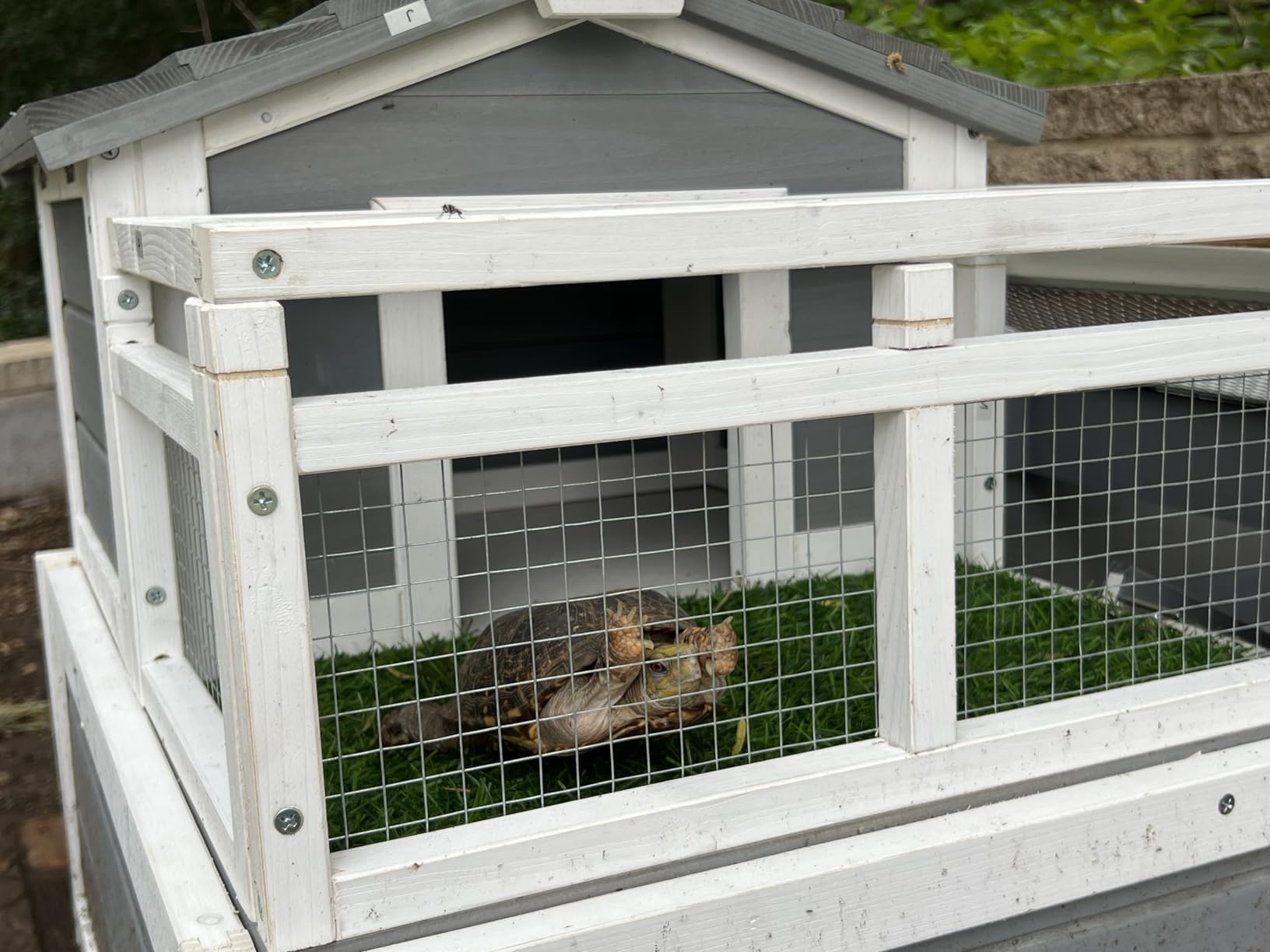 3-Room Large Tortoise Habitat with Pull-Out Tray, Wooden Tortoise Enclosure Indoor & Outdoor with Ramp, Grass Mat, Openable Roof, Luxurious Reptile Enclosure for Small Animals, Yellow customer photo 2