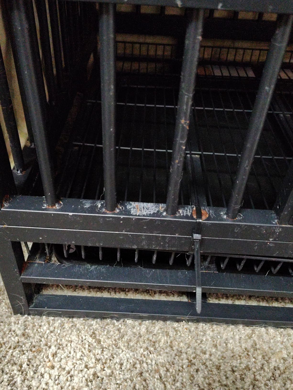 Vongrasig 38 Inch Heavy Duty Indestructible Dog Crate, Escape Proof Dog Cage Kennel with Lockable Wheels,High Anxiety Double Door Dog Cage,Extra Large XL XXL Crate Indoor for Large Dogs customer photo 1