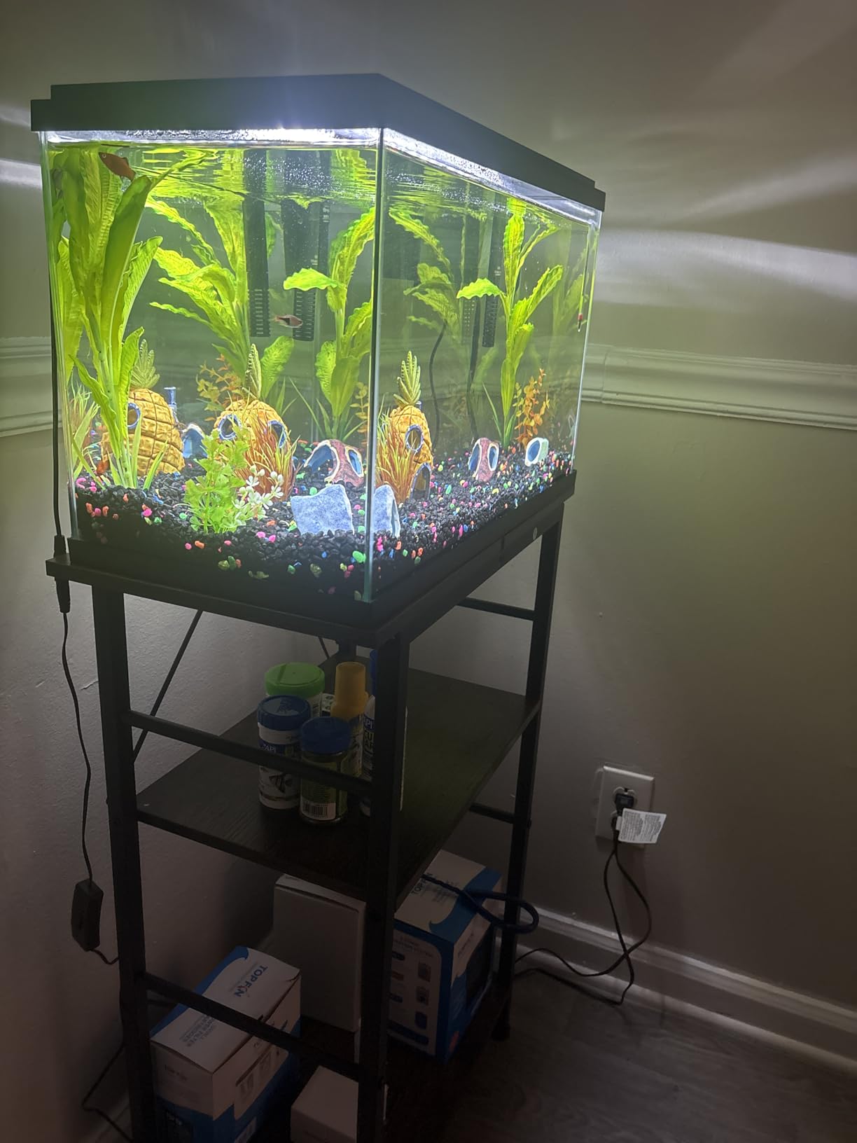 Snughome 10-20 Gallon Fish Tank Stand, Aquarium Stand 2-Tier Storage Shelves, Heavy Duty Terrarium Stand for Home Office Fish Tank Shelf, 24