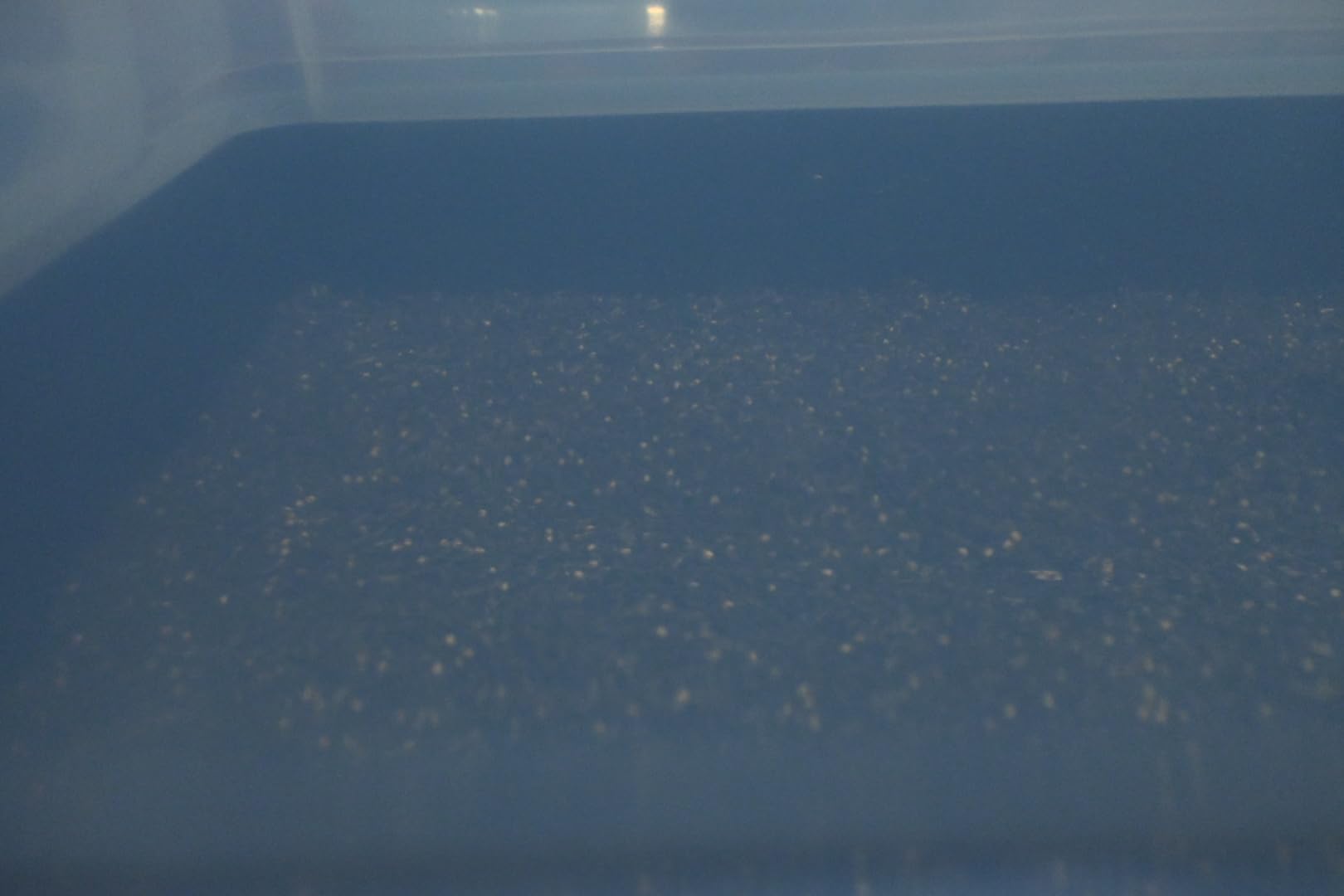 North Spore Automated 'Boomr Bin' Mushroom Monotub Kit customer photo 2