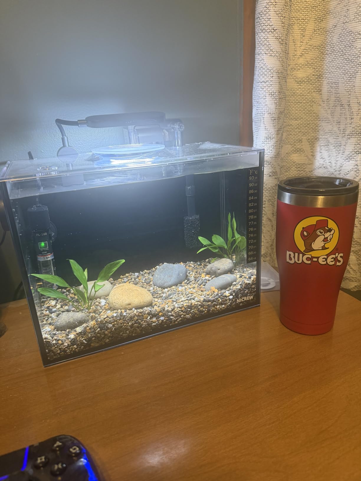 NICREW 2.5 Gallon Nano Nature Aquarium Kit Betta Fish Tank, Basic, Black customer photo 1